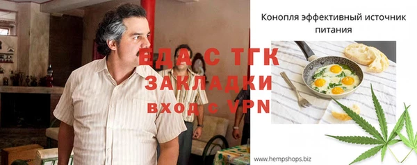 индика Армянск