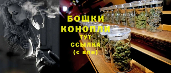 индика Армянск