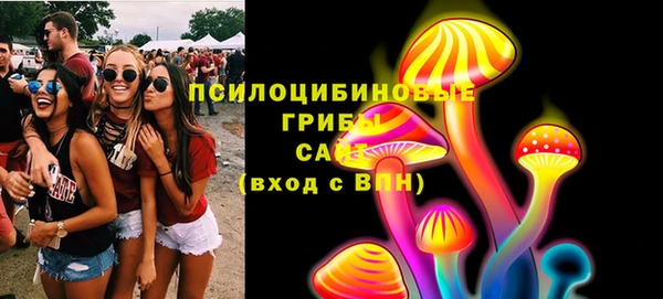 индика Армянск
