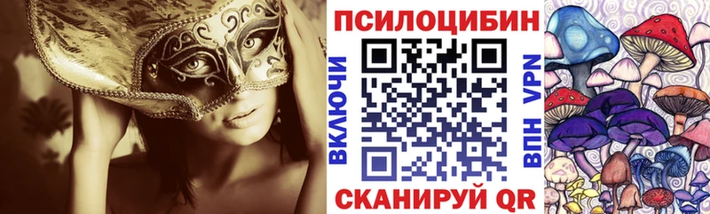 Галлюциногенные грибы Cubensis  дарк нет как зайти  Никольск  hydra tor 